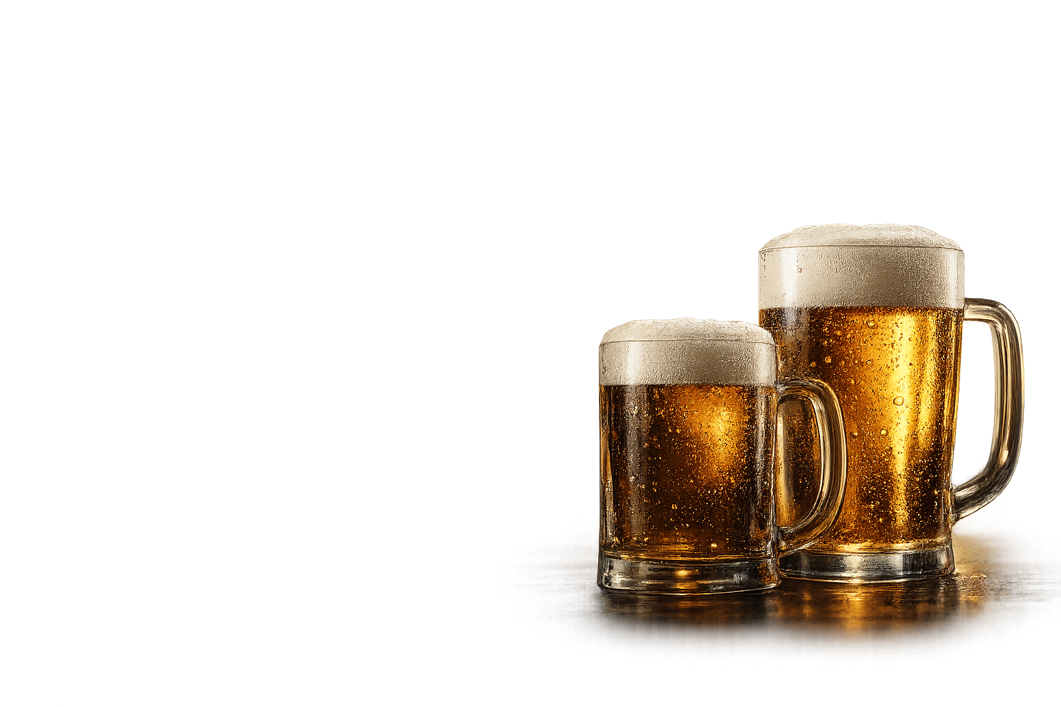 Modernes Hero-Bierfoto für willnurbier.de